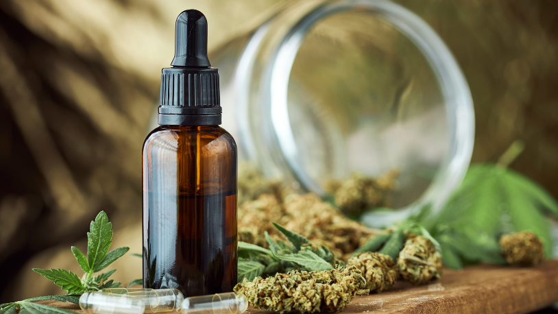 How to Start a CBD Business in 8 Easy Steps: The Ultimate Guide for  Beginners