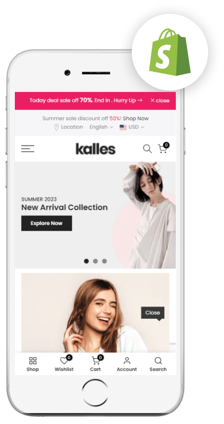 Hire Shopify Expert