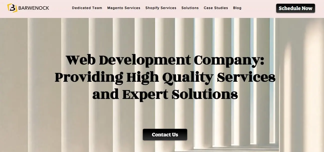 Top 5 Companies to Hire Magento Developers barwenock Magento development company