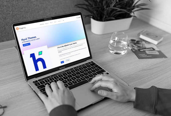 hyva theme development expert